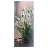 "Flame retardant fabric banner snowdrops"
