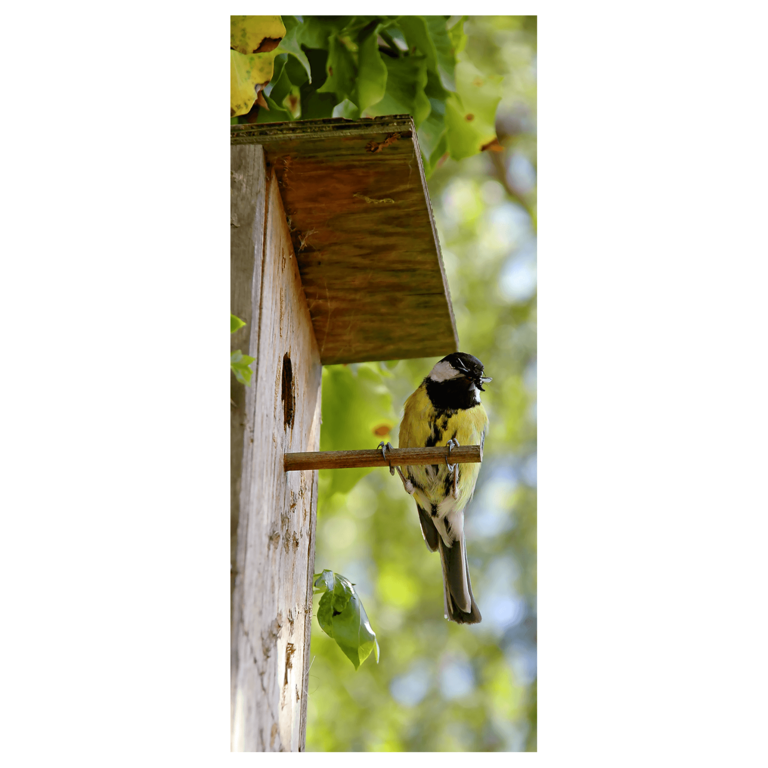 "Flame retardant fabric banner Great tit"