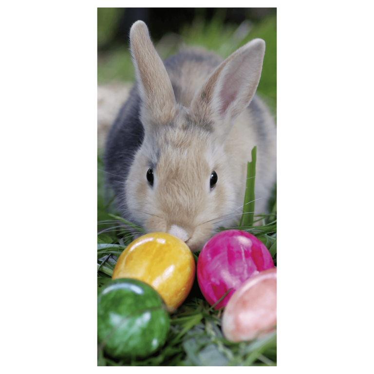 "Flame retardant fabric banner bunny with Easter eggs"