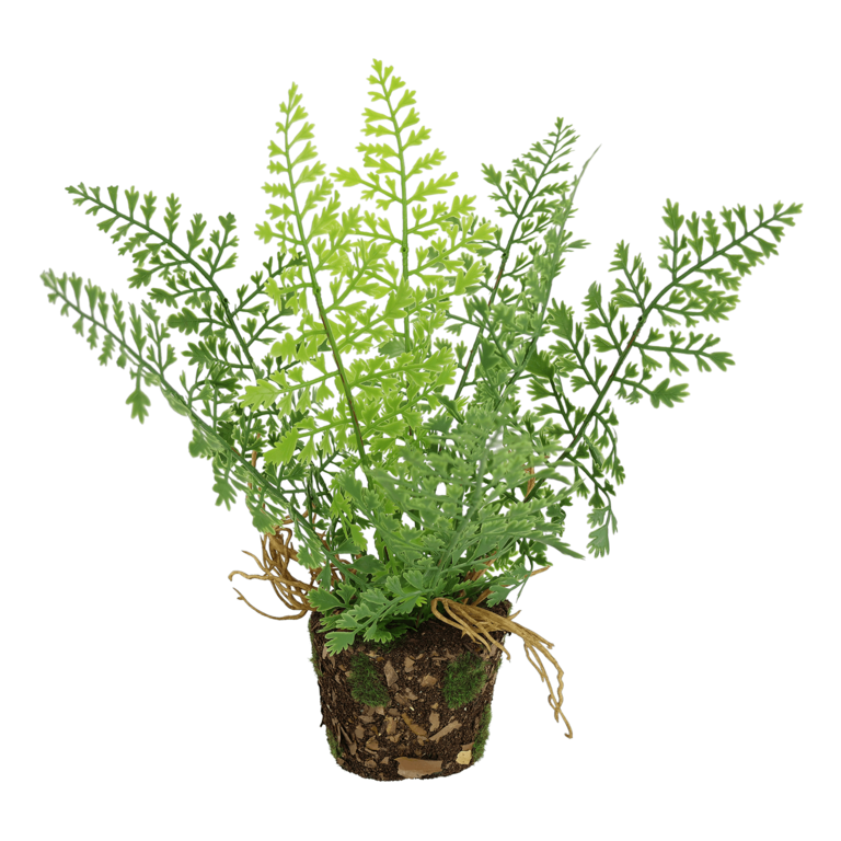 "Artificial fern bush in a pot 24 x 14 cm"