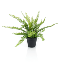 "Artificial fern plant in black pot 35 cm"