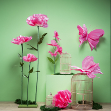 FS26 01_Fru╠êhling_Pink.jpg