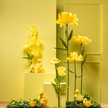 FS26 02_Fru╠êhling_mit_Ku╠êken.jpg