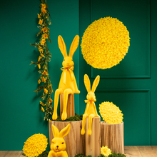 FS26 22_Gelbe_Samt_Hasen.jpg