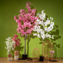 FS26 38_Kirschba╠êume.jpg