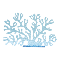 Coral