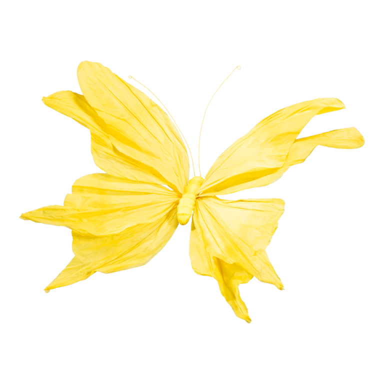 Butterfly with short stem