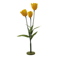Tulips on wooden base