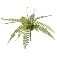 "Artificial fern pick 58 x 40 cm"