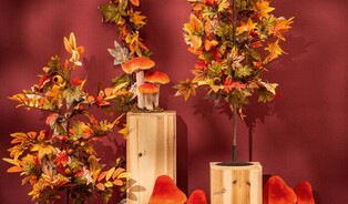 Herfst '26 is coming! 