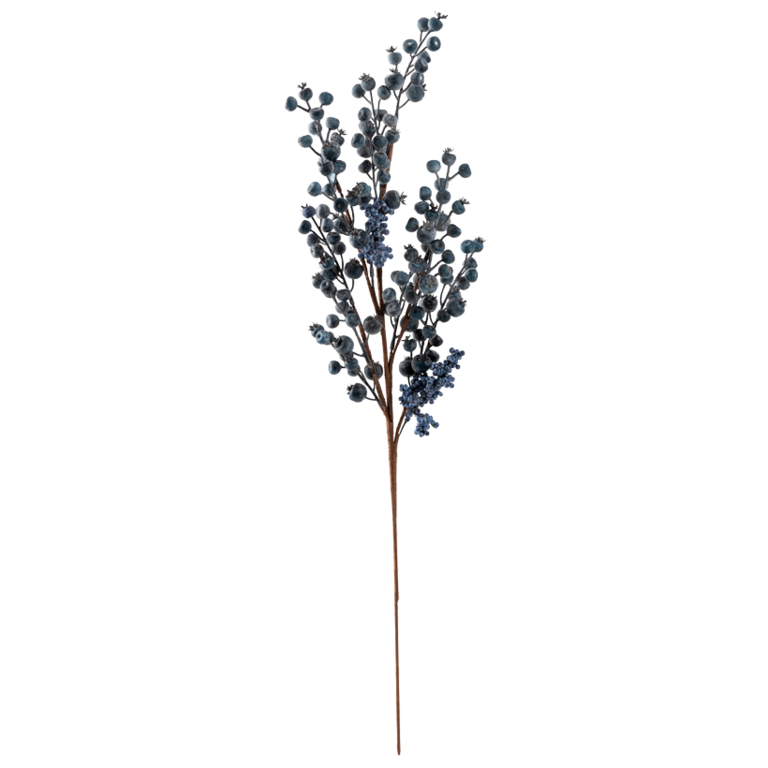 Blueberry twig