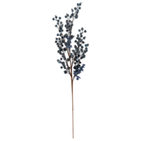 Blueberry twig