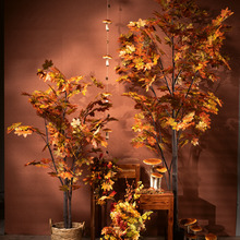 Herfst 1.jpg