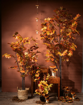A Herfst 01