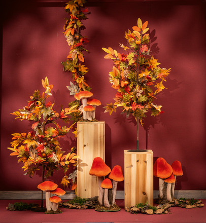 A Herfst 02