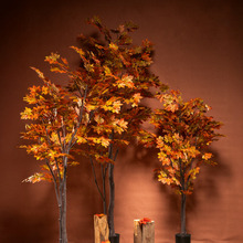 Herfst 3.jpg