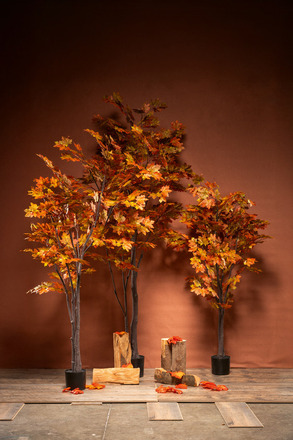 A Herfst 03 
