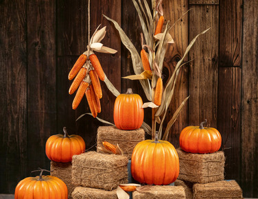 Herfst 6.jpg