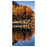 " Hard to remove fabric banner autumn reflection"
