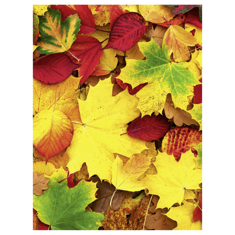 "XL fabric banner ""Autumn leaves"" 150 x 200"