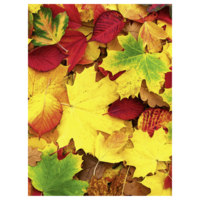 "XL fabric banner ""Autumn leaves"" 150 x 200"