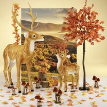 Herfst in bergen DW.jpg