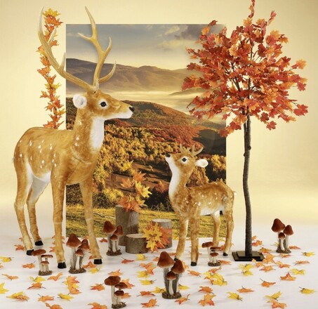 Herfst 00