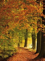 "Fabric banner ""Autumn forest"""