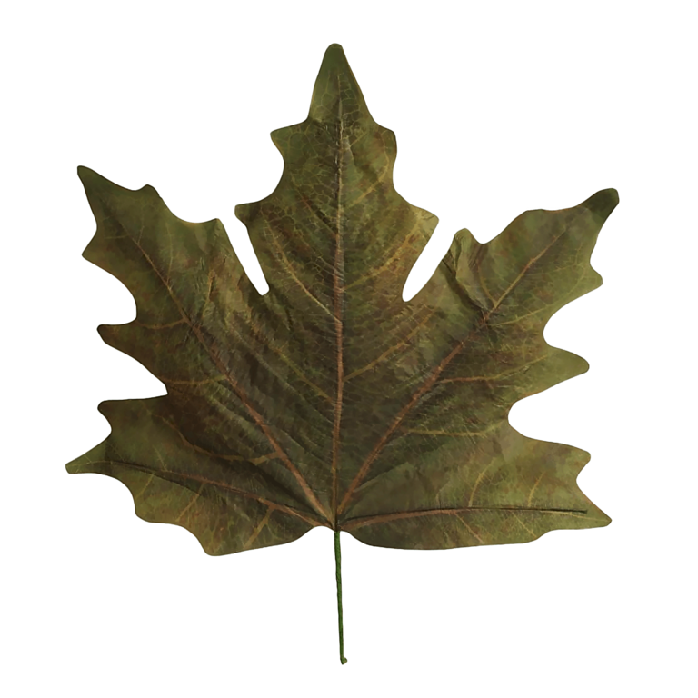 "Artificial maple leaf XXL 78 x 73 cm, plastic"