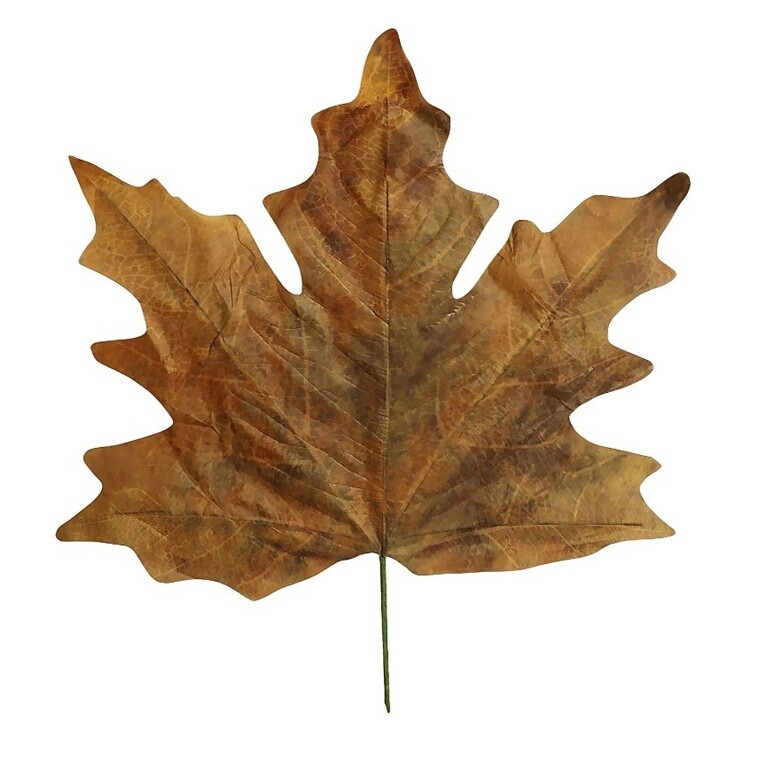 "Artificial maple leaf XXL 78 x 73 cm, plastic"