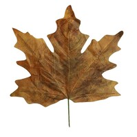 "Artificial maple leaf XXL 78 x 73 cm, plastic"
