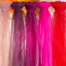 Chiffon.jpg