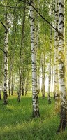 Banner Berkenbos -90/180cm 