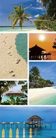 Banner BeachTropical 
