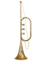 Trumpet