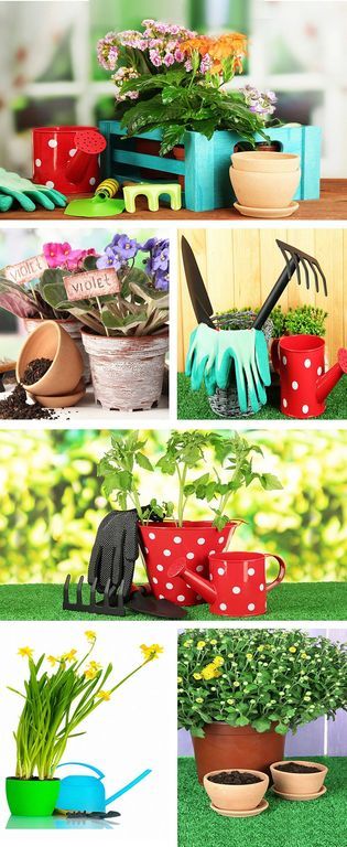 Banner GardenTime