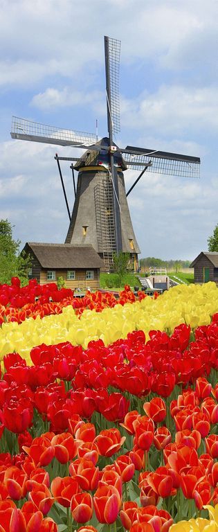 Banner Welkom in Holland