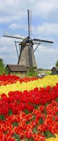 Banner Welkom in Holland